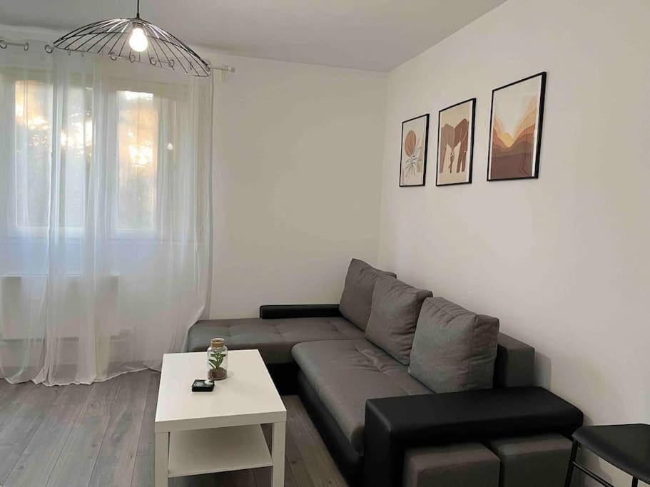 Appartement Renove - Vandoeuvre Les Nancy Экстерьер фото