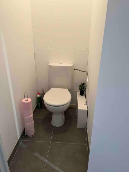 Appartement Renove - Vandoeuvre Les Nancy Экстерьер фото